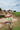 HERO’S TRAINING JOGGERS [LAND]